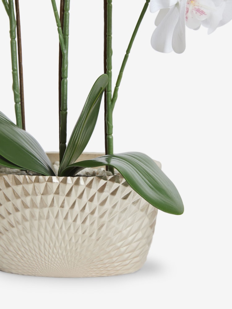 Gold/White Artificial Real Touch Orchid in Geo Pot - Image 4 of 4