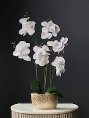 Gold/White Artificial Real Touch Orchid in Geo Pot - Image 5 of 5