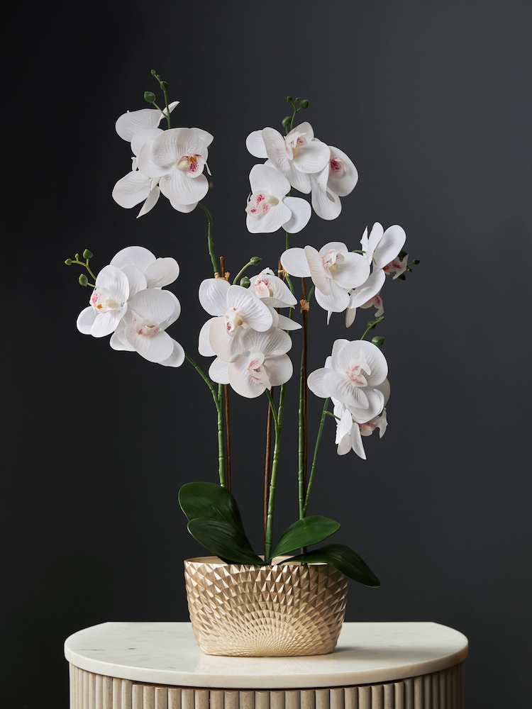 Gold/White Artificial Real Touch Orchid in Geo Pot - Image 5 of 5