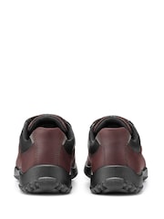 Marrón - Hotter Thor II GTX Lace Up Shoes - Imagen 3 de 4