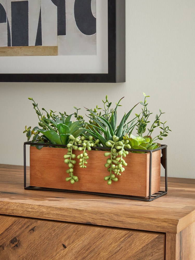 Green Artificial Succulent Garden in Bronx Wood Trough - Image 1 of 4
