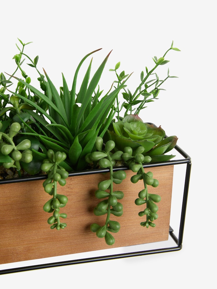 Green Artificial Succulent Garden in Bronx Wood Trough - Image 4 of 4