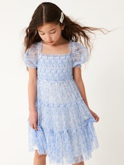 Blue Floral Mesh Tiered Dress (3-16yrs) - Image 1 of 9