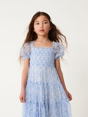 Blue Floral Mesh Tiered Dress (3-16yrs) - Image 2 of 9