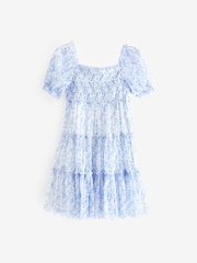 Blue Floral Mesh Tiered Dress (3-16yrs) - Image 9 of 9