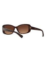Coach Brown L156 Oval Sunglasses - Image 5 of 13