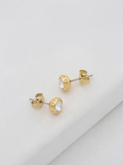 Ted Baker Gold Tone SINAA: Crystal Stud Earrings - Image 3 of 5