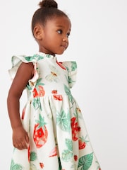 Green Strawberry Print Ponte Occasion Dress (3mths-7yrs) - Image 1 of 6