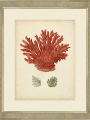 Brookpace Lascelles Gold Antique Red Coral III in Antique Mirrored Frame - Image 1 of 2