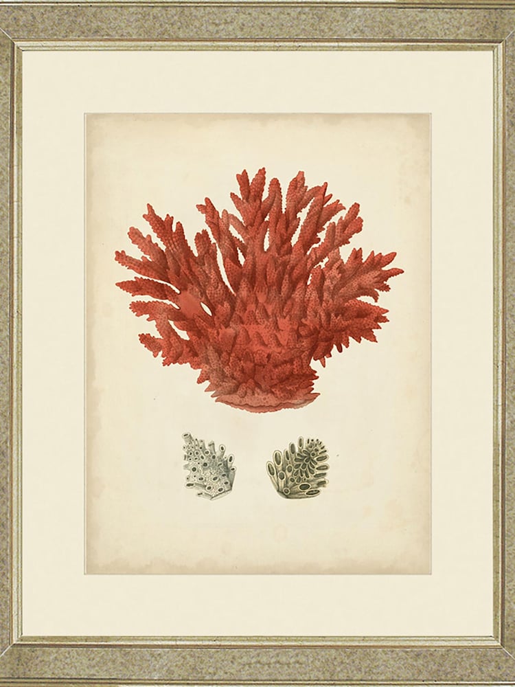Brookpace Lascelles Gold Antique Red Coral III in Antique Mirrored Frame - Image 1 of 2