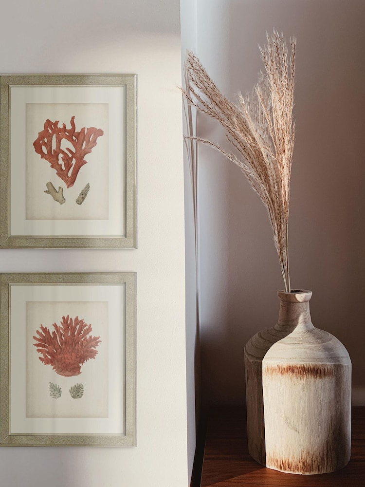 Brookpace Lascelles Gold Antique Red Coral III in Antique Mirrored Frame - Image 2 of 2