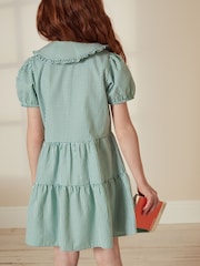 Green Cotton Rich School Gingham Tiered Pretty Collar Dress (3-14yrs) - Image 2 of 6