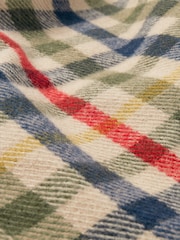 Joules Langtree Checked Scarf - Image 5 of 5