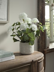 White Artificial Vibernum Plant In Country Pot - Image 1 of 3