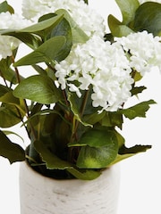 White Artificial Vibernum Plant In Country Pot - Image 2 of 3