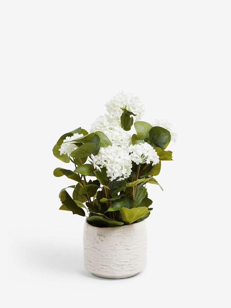 White Artificial Vibernum Plant In Country Pot - Image 3 of 3