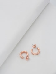 Ted Baker Rose Gold SEENITA: Crystal Small Hoop Earrings - Image 4 of 9
