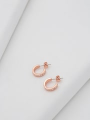 Ted Baker Rose Gold SEENITA: Crystal Small Hoop Earrings - Image 5 of 9