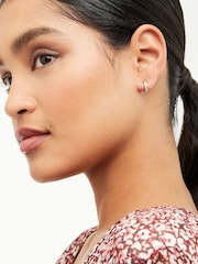 Ted Baker Rose Gold SEENITA: Crystal Small Hoop Earrings - Image 9 of 9