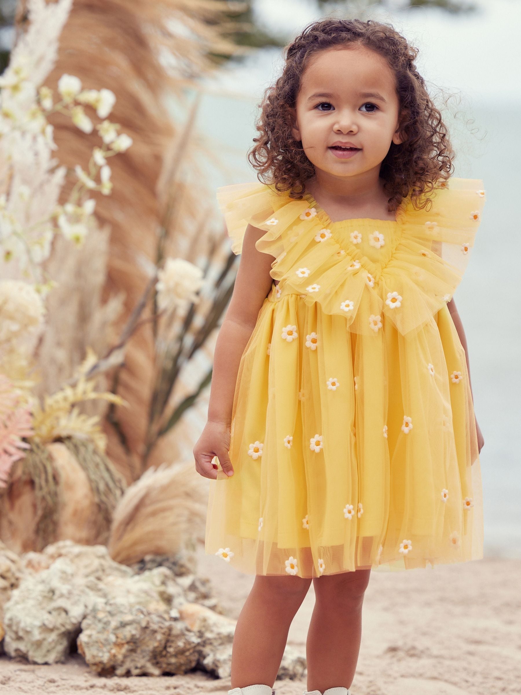 Buy Yellow Daisy Embroidered Ruffle Mesh Dress 3mths 10yrs from Next Luxembourg