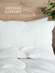 Snuggledown 2 Anti Allergy Pillows - Image 3 of 5