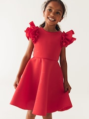 Baker by Ted Baker Frilled Embossed Scuba Dress - Image 1 of 13