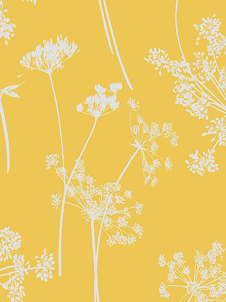 Graham & Brown Yellow Anthriscus Summer 10M Wallpaper - Image 2 of 3