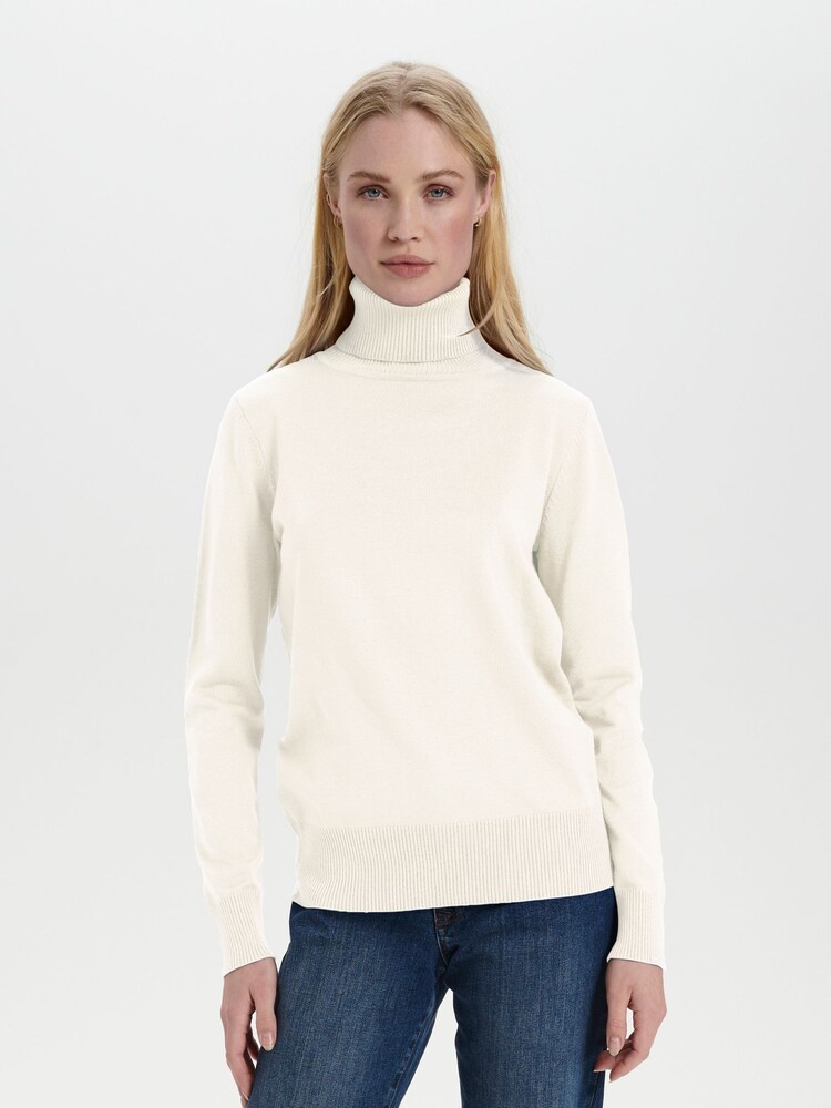 Saint Tropez Mila Roll Neck Pullover - Image 1 of 6