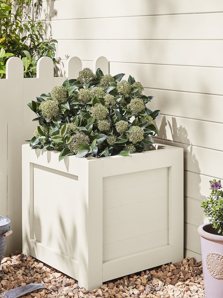 Laura Ashley Ivory Garden 2.5Lt Paint - Image 2 of 5 Laura Ashley Ivory Garden 2.5Lt Paint - Image 2 of 5