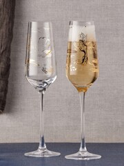 The DRH Collection Clear Set of 2 Skye Champagne Flutes - Image 1 of 3