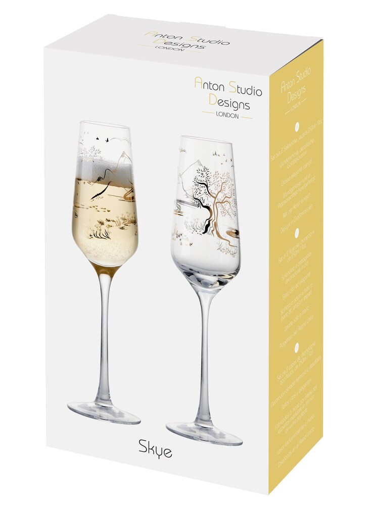 The DRH Collection Clear Set of 2 Skye Champagne Flutes - Image 3 of 3