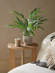 Green Artificial Mini Kentia Palm Plant In Ribbed Concrete Pot - Image 1 of 3