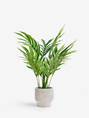Green Artificial Mini Kentia Palm Plant In Ribbed Concrete Pot - Image 2 of 3