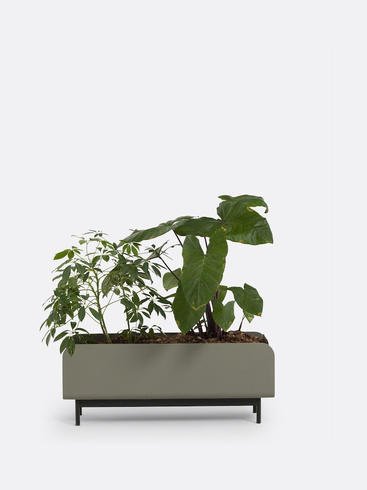 La Redoute Intérieurs Sage Green Fleury Low Metal Planter - Image 2 of 4