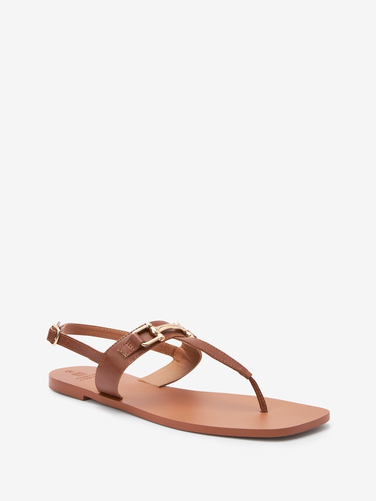 Tan Brown Regular/Wide Fit Leather Toe Post Flat Sandals with Metal Detail - Image 2 of 4 Tan Brown Regular/Wide Fit Leather Toe Post Flat Sandals with Metal Detail - Image 2 of 4