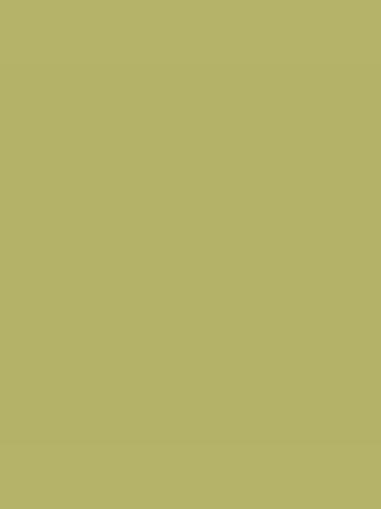 Joules Spring Pasture Multi Surface Matt Emulsion 2.5L Paint - Image 2 of 4 Joules Spring Pasture Multi Surface Matt Emulsion 2.5L Paint - Image 2 of 4
