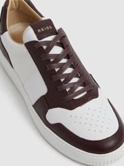 Reiss Bordeaux Aira Low Top Leather Trainers - Image 6 of 7
