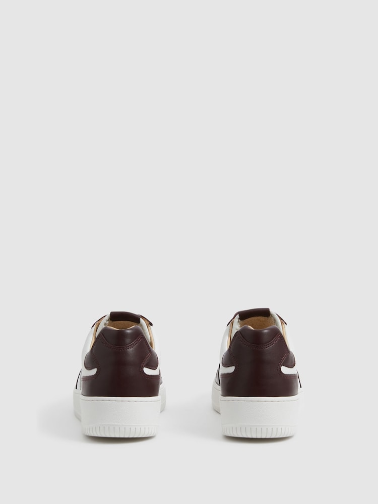 Reiss Bordeaux Aira Low Top Leather Trainers - Image 7 of 7