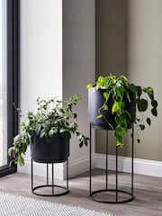 Pacific Set of 2 Graphite Metal Circular Planters - Image 1 of 4