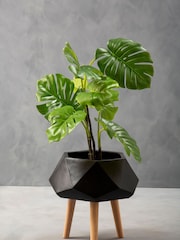 Fifty Five South Black Darnell Planter - Image 1 of 3
