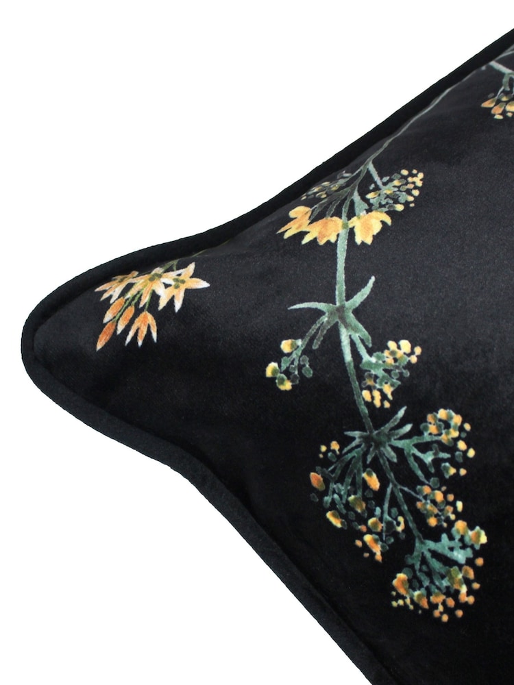 Evans Lichfield Black Multicolour Midnight Garden Bee Piped Velvet Cushion - Image 2 of 6