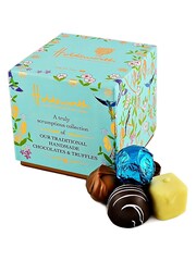 Holdsworth Truly Scrumptious Chocolate Exquisite Cubes - Image 4 of 5