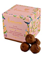 Holdsworth Truly Scrumptious Chocolate Exquisite Cubes - Image 5 of 5