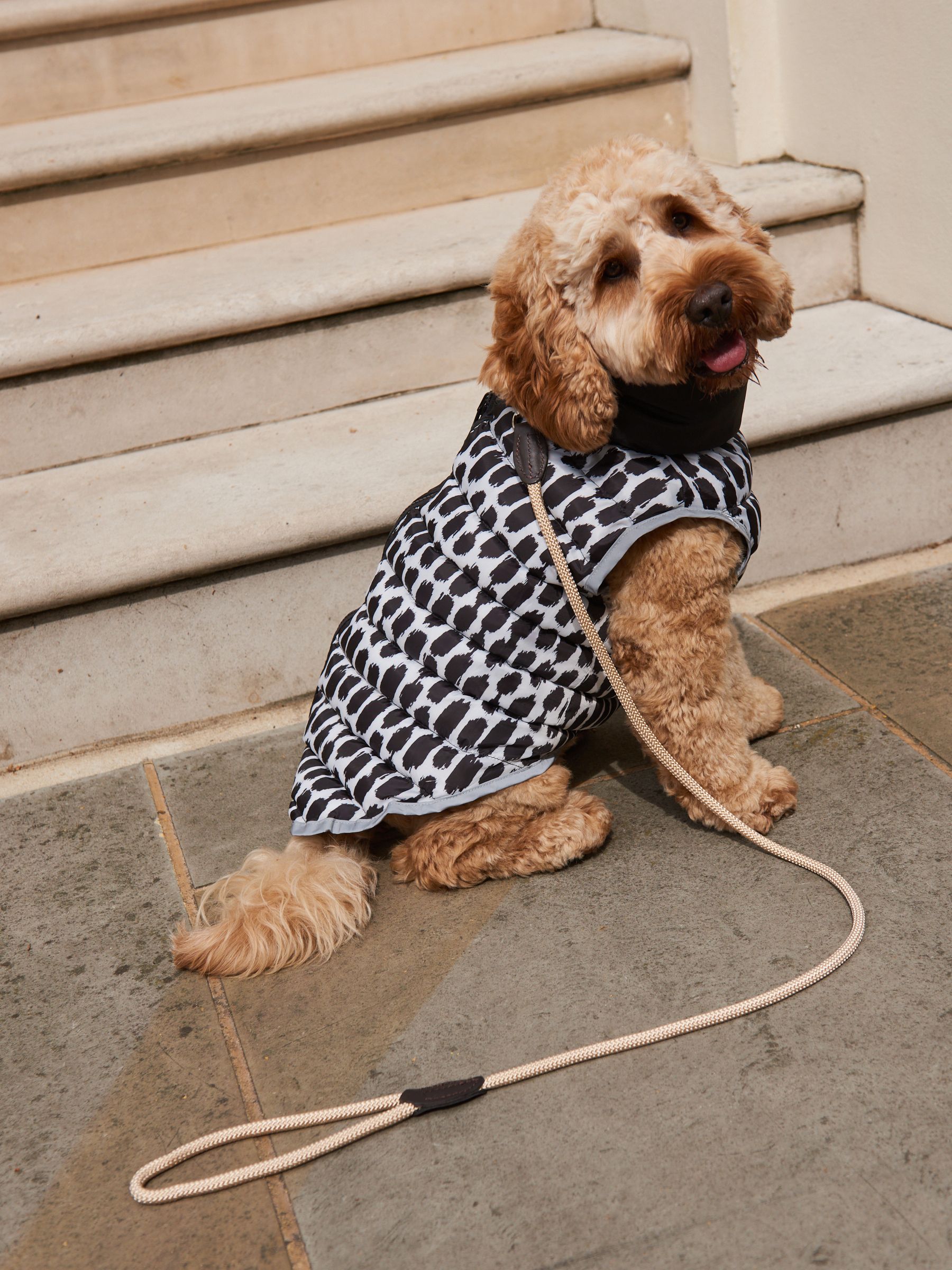 Reversible dog coat best sale