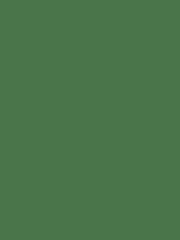 Morris & Co. Double Boughs Water Based Eggshell 2.5Lt Paint - Image 2 of 2