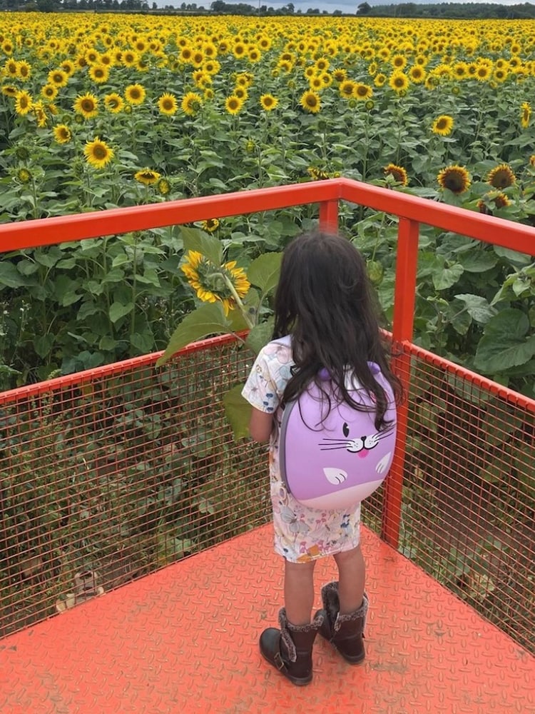 boppi Purple Tiny Trekker Backpack - Image 1 of 4