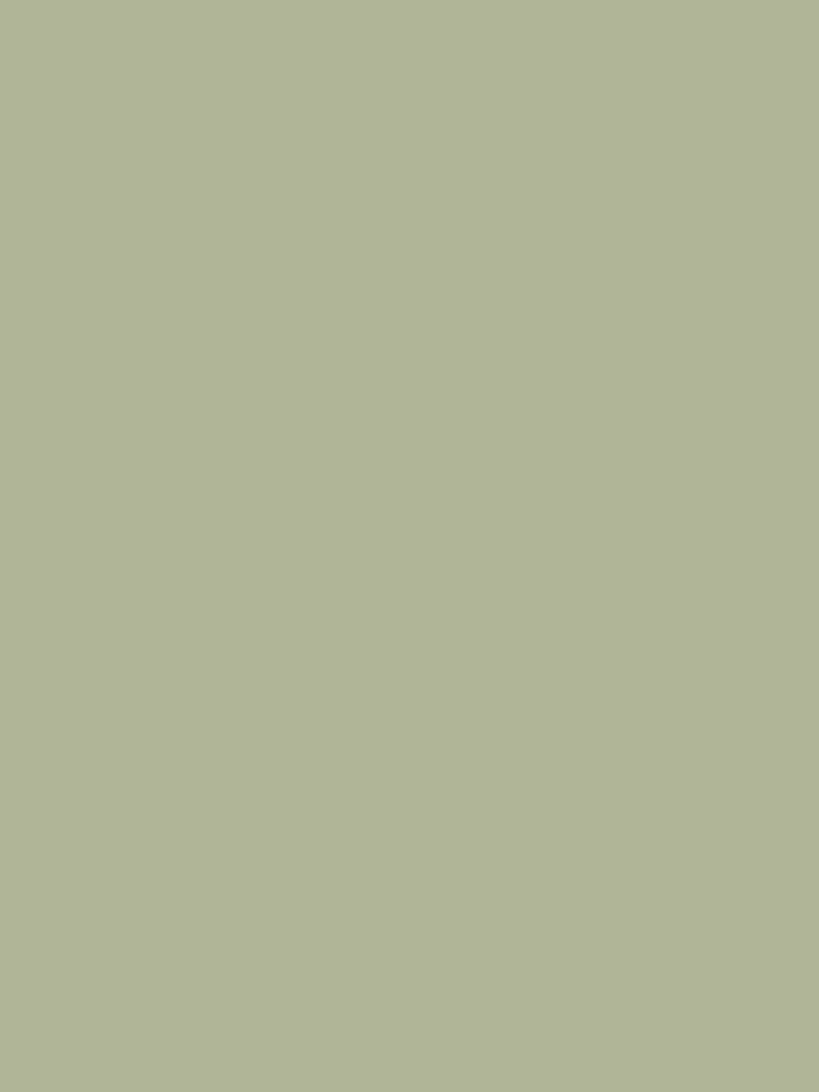 Morris & Co. Leafy Arbour Water Based Eggshell 1Lt Paint - Image 2 of 2
