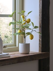 Green Artificial Lemon Tree In Concrete Pot - Image 1 of 3