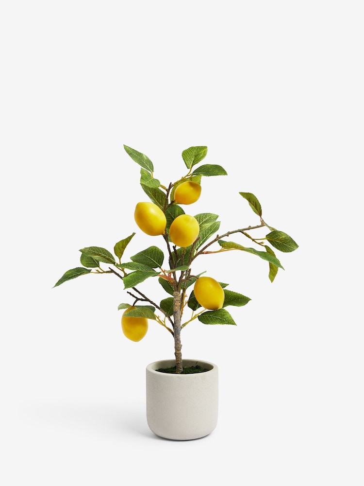 Green Artificial Lemon Tree In Concrete Pot - Image 2 of 3