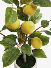 Green Artificial Lemon Tree In Concrete Pot - Image 3 of 3